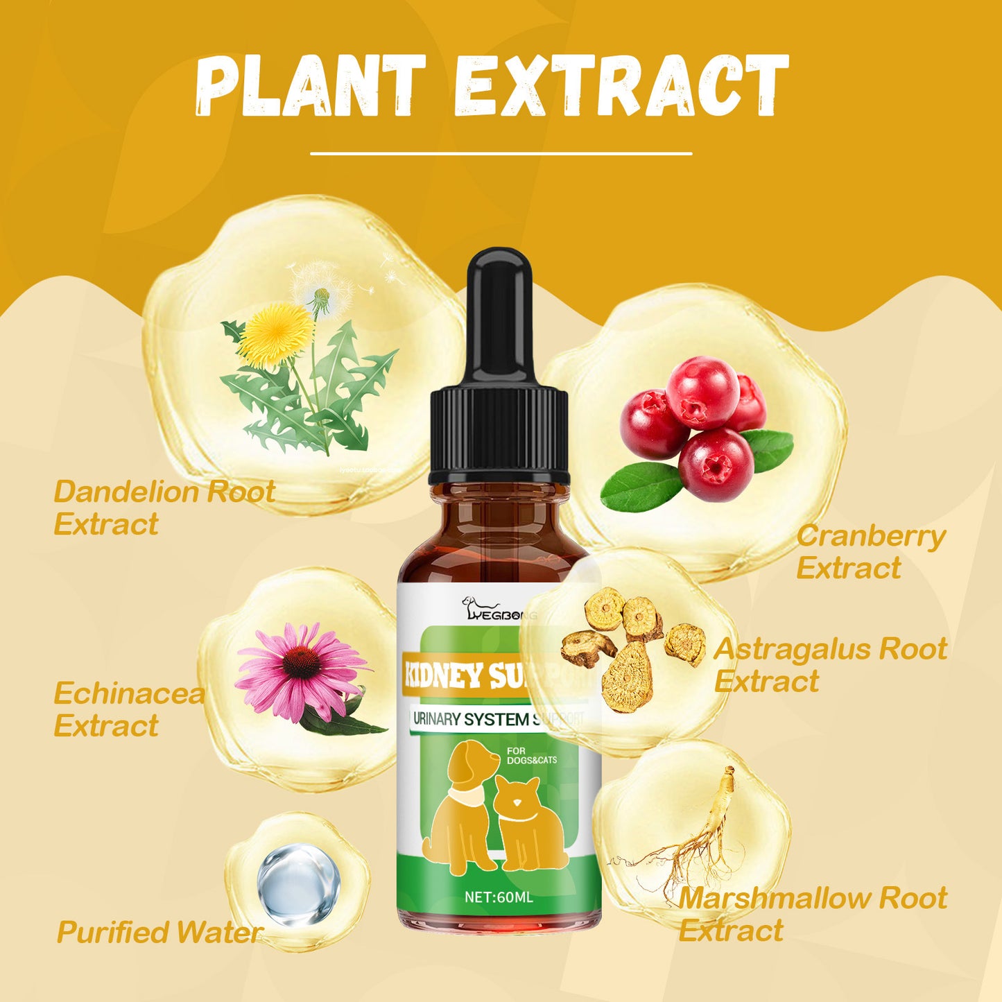 Pet Nutritional Supplements for Enhanced Energy and Vitality