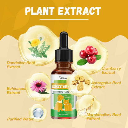 Pet Nutritional Supplements for Enhanced Energy and Vitality