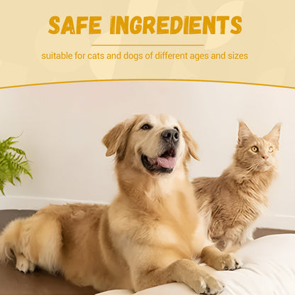 Pet Nutritional Supplements for Enhanced Energy and Vitality