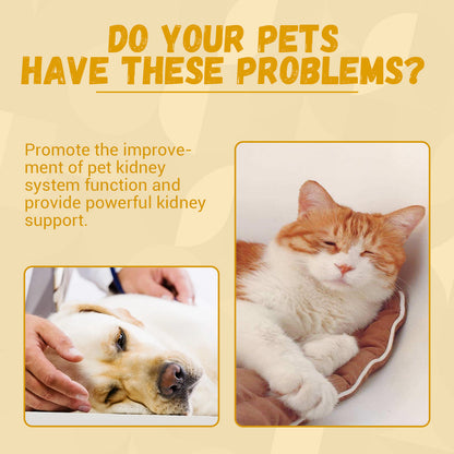 Pet Nutritional Supplements for Enhanced Energy and Vitality
